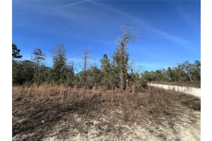 tbd 117TH TERRACE, WILLISTON, FL 32696 - MLS#MFROM692178