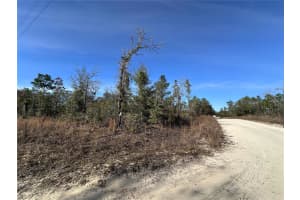 tbd 117TH TERRACE, WILLISTON, FL 32696 - MLS#MFROM692178