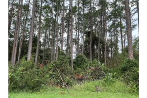 1 BRIAN LANE, PALM COAST, FL 32137 Sold 02/03/25