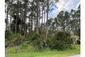 1 BRIAN LANE, PALM COAST, FL 32137 Sold 02/03/25