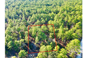 TBD 155TH AVENUE, OCALA, FL 34481 - MLS#MFROM692219