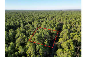 TBD 155TH AVENUE, OCALA, FL 34481 - MLS#MFROM692219