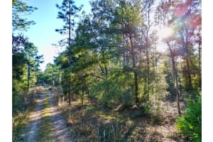 TBD 155TH AVENUE, OCALA, FL 34481 - MLS#MFROM692219