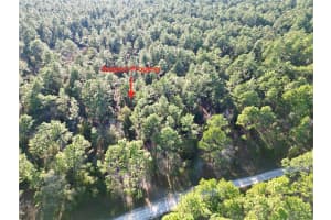 TBD 155TH AVENUE, OCALA, FL 34481 - MLS#MFROM692219