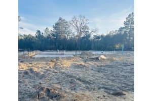 8101 MALTESE DRIVE, CITRUS SPRINGS, FL 34433 Sold 07/14/25