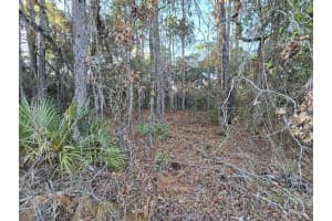 00000 69TH COURT ROAD, OCALA, FL 34473 Sold 02/25/25