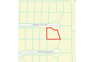 0 BAHIA CIRCLE DRIVE, OCKLAWAHA, FL 32179 Sold 08/04/25