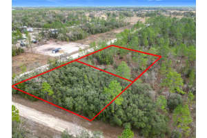 TBD 5TH STREET, WILLISTON, FL 32696 Sold 02/11/25