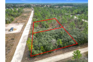 TBD 5TH STREET, WILLISTON, FL 32696 Sold 02/11/25