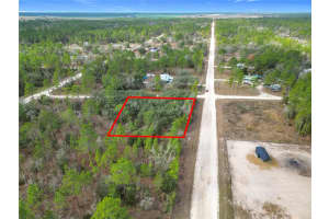 TBD 5TH STREET, WILLISTON, FL 32696 Sold 02/11/25