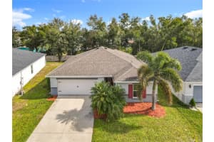 2457 BULRUSH DRIVE, SAINT CLOUD, FL 34769 Sold 02/13/25