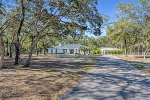7990 176TH AVENUE, WILLISTON, FL 32696 Sold 02/28/25
