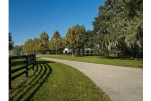 16550 46TH STREET, MORRISTON, FL 32668 Sold 06/03/25