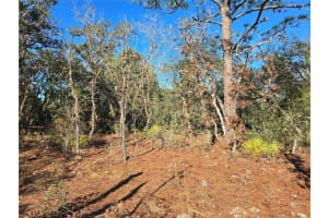 3489 EUNICE DRIVE, DUNNELLON, FL 34433 Sold 02/28/25