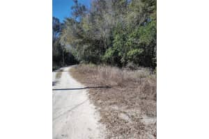 NW 53RD AVE, OCALA, FL 34482 Sold 02/19/25
