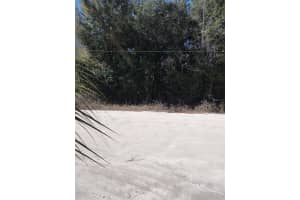 NW 53RD AVE, OCALA, FL 34482 Sold 02/19/25