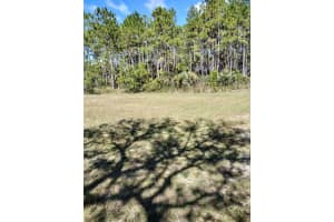 137 FRANKLIN AVENUE, POMONA PARK, FL 32181 - MLS#MFROM692634
