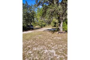 137 FRANKLIN AVENUE, POMONA PARK, FL 32181 - MLS#MFROM692634