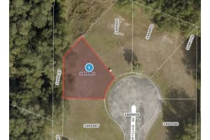 MONTCLAIR RD #21, LEESBURG, FL 34748 - MLS#MFROM692716
