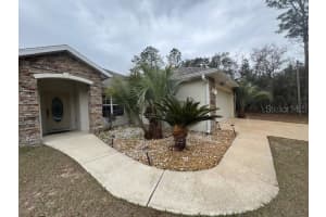 1060 BIG TREE ROAD, DUNNELLON, FL 34431 - MLS#MFROM692727