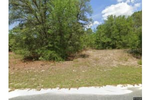 8583 BOLDER DRIVE, CITRUS SPRINGS, FL 34434 Sold 07/10/25