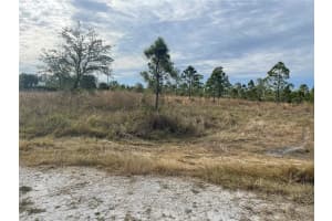 29290 CLARA DRIVE, PUNTA GORDA, FL 33982 - MLS#MFROM692802