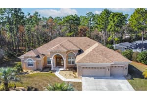 10 SNAPDRAGONS COURT, HOMOSASSA, FL 34446 Sold 03/13/25