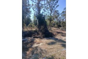 5490 MANNIS COURT, HOMOSASSA, FL 34446 Sold 08/21/25