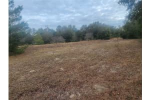 2407 JACKSON STREET, INVERNESS, FL 34453 - MLS#MFROM693039