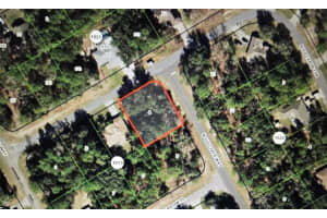 8170 HILLVIEW CIRCLE, CITRUS SPRINGS, FL 34434 - MLS#MFROM693102