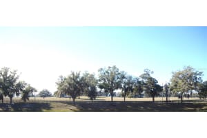 7964 6TH PLACE, OCALA, FL 34474 Sold 06/25/25