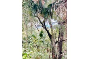 TBA SW 97TH LOOP LOT 17, DUNNELLON, FL 34432 Sold 04/04/25