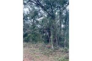 TBA SW 97TH LOOP LOT 17, DUNNELLON, FL 34432 Sold 04/04/25