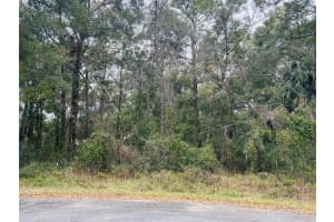 TBA SW 97TH LOOP LOT 18, DUNNELLON, FL 34432 Sold 04/04/25