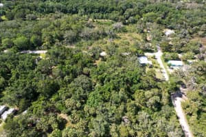 12251 RED MAPLE STREET, HOMOSASSA, FL 34448 - MLS#MFROM693231