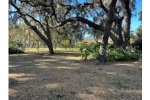 18607 Se 50th St, OCKLAWAHA 18607 Se 50th St, OCKLAWAHA