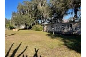 18607 50TH STREET, OCKLAWAHA, FL 32179 - MLS#MFROM693236