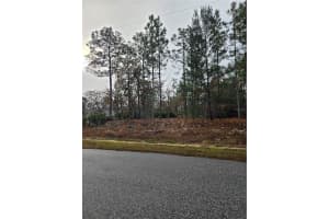 3308 EUNICE DRIVE, DUNNELLON, FL 34433 Sold 02/12/25