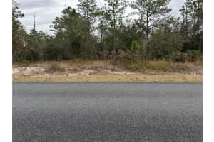 SW SW OBEE RIDGE RD RD, DUNNELLON, FL 34431 - MLS#MFROM693315