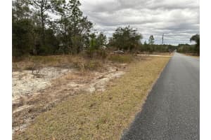 SW SW OBEE RIDGE RD RD, DUNNELLON, FL 34431 - MLS#MFROM693315