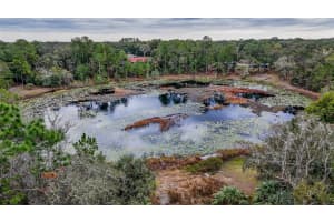 16434 57 PLACE, OCKLAWAHA, FL 32179 Sold 08/08/25