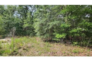 SW 15TH ST, OCALA, FL 34481 - MLS#MFROM693335