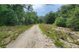 SW 15TH ST, OCALA, FL 34481 - MLS#MFROM693335