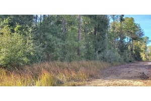 0 155TH COURT, OCALA, FL 34481 - MLS#MFROM693436