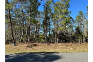 0000 157TH STREET, OCALA, FL 34473 Sold 06/23/25