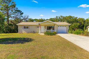 11250 Sw 79th Ter, OCALA