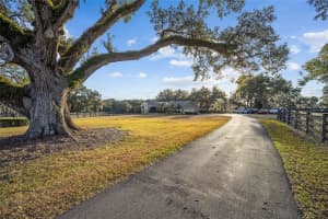 8180 7TH AVENUE ROAD, OCALA, FL 34480 Sold 04/09/25