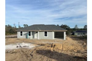 111 FISHER TRACE DRIVE, OCKLAWAHA, FL 32179 Sold 03/25/25