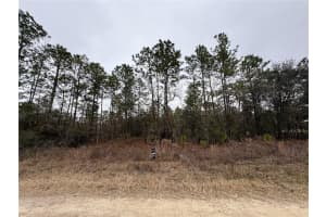 TBD 91ST LANE, DUNNELLON, FL 34432 Sold 04/06/25