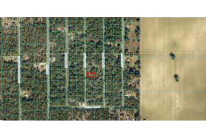 Lot 36 MONINES COURT, DUNNELLON, FL 34431 - MLS#MFROM693610